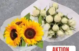Edeka Moosrosenstrauß Angebot