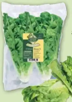 Edeka Unsere Heimat Echt & Gut Bio-Mini Romana Salat Angebot