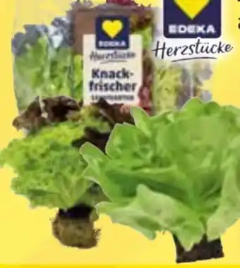 Edeka Edeka Herzstücke Knackfrische Salatgarten Angebot