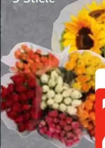 Edeka Frischemarkt Moosrosen Angebot