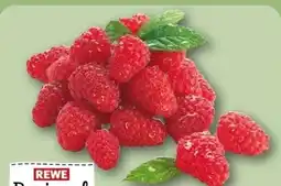 REWE Center Rewe Regional Himbeeren Angebot