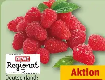 REWE Rewe Regional Himbeeren Angebot