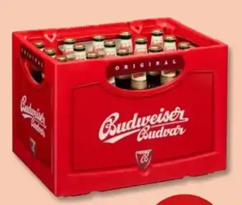 PENNY Budweiser Budvar (CZ) Czech Premium Lager Angebot