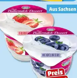 PENNY Sachsenmilch Buttermilch-Dessert Angebot