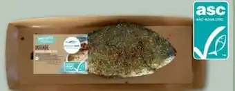 REWE Deutsche See Dorade Angebot