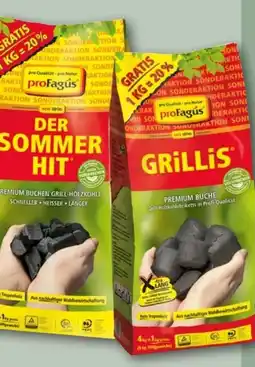 REWE proFagus Holzkohle Der Sommerhit Angebot