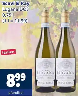 Getränkewelt Scavi & Ray Lugana DOS Angebot