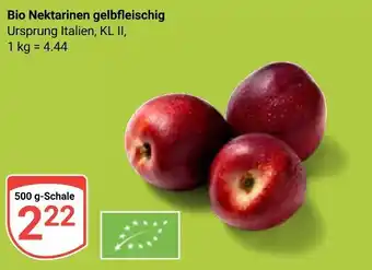 Globus Nektarinen gelbfleischig Angebot