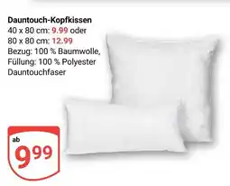 Globus Dauntouch-kopfkissen Angebot