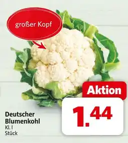 Markant Deutscher blumenkohl Angebot