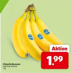 Markant Chiquita bananen Angebot