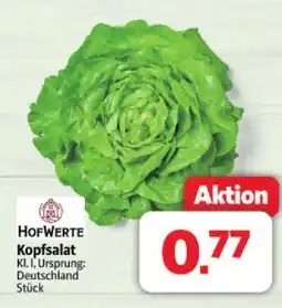 Markant Hofwerte kopfsalat Angebot