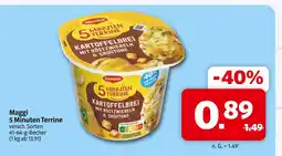 Markant Maggi 5 minuten terrine Angebot