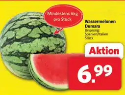 Markant Wassermelonen dumara Angebot