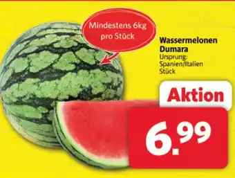 Markant Wassermelonen dumara Angebot