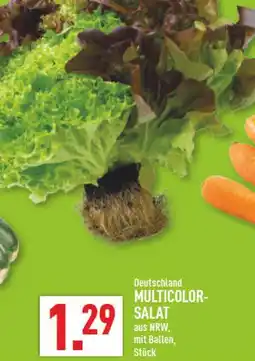 Marktkauf Multicolor-salat Angebot