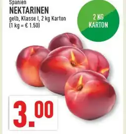 Marktkauf Nektarinen Angebot