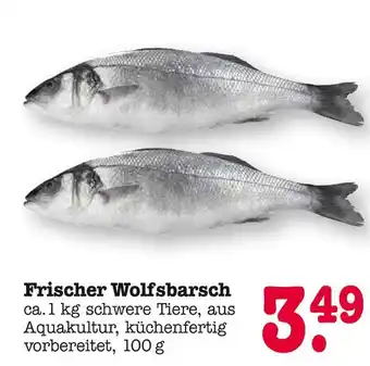 E-Center Frischer wolfsbarsch Angebot