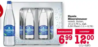 E-Center Hassia mineralwasser Angebot