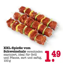 E-Center Xxl-spieße vom schweinehals Angebot