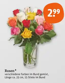tegut Rosen Angebot