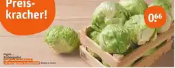 tegut Tegut... eisbergsalat Angebot
