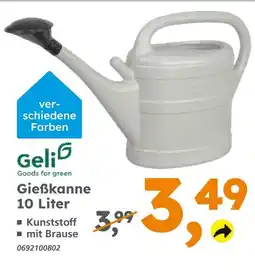 Globus Baumarkt Geli gießkanne 10 liter Angebot