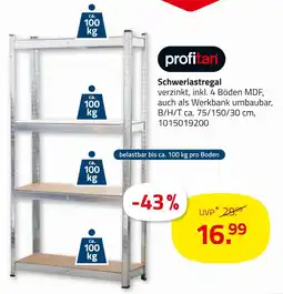 ROLLER Profitan schwerlastregal Angebot
