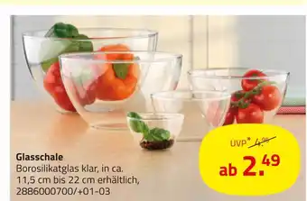 ROLLER Glasschale Angebot