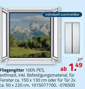 ROLLER Fliegengitter Angebot
