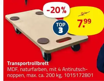 ROLLER Transportrollbrett Angebot