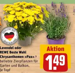 REWE Rewe beste wahl lavendel Angebot