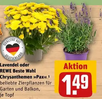 REWE Rewe beste wahl lavendel Angebot