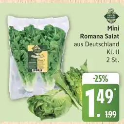 Marktkauf Mini romana salat Angebot