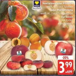 Marktkauf Edeka herzstücke nektarinen oder pfirsiche weiß Angebot