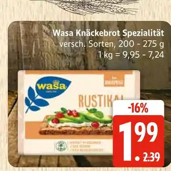 Marktkauf Wasa knäckebrot spezialität Angebot