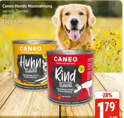 Marktkauf Caneo huhn classic Angebot
