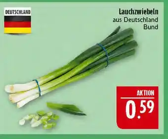 Marktkauf Lauchzwiebeln Angebot