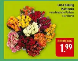 Marktkauf Gut & günstig moosrosen Angebot