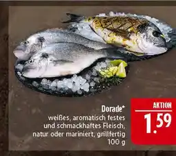 Marktkauf Dorade Angebot