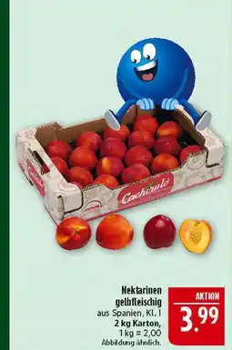 Marktkauf Nektarinen gelbfleischig Angebot