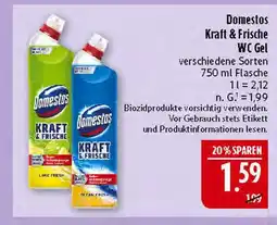 Marktkauf Domestos kraft & frische wc gel lime fresh Angebot