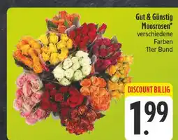 Edeka Gut & günstig moosrosen Angebot
