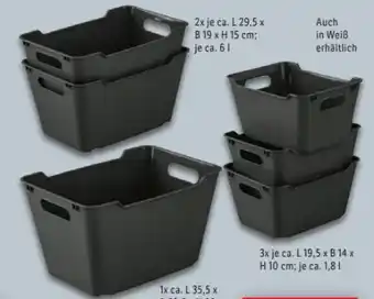 Lidl W5 Aufbewahrungsbox Angebot
