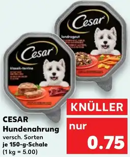 Kaufland CESAR Hundenahrung Angebot