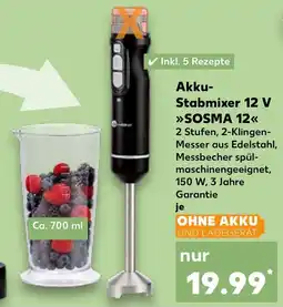 Kaufland switch on Akku- Stabmixer 12 V SOSMA 12 Angebot