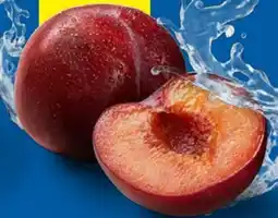 Lidl Pflaumen Angebot