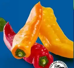 Lidl Spitzpaprika-Mix Angebot