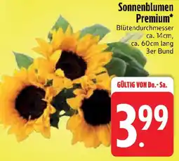 Edeka Sonnenblumen Premium Angebot