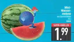 E-Center Mini- Wasser- melone Angebot